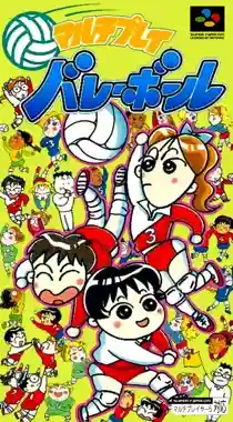 Multi Play Volleyball (Japan)